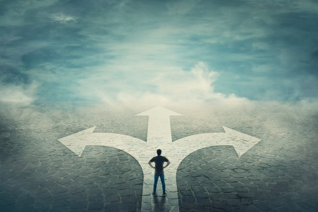 Exploring a Personal Training Course and Career Paths in New Zealand