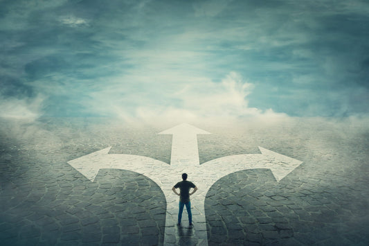 Exploring a Personal Training Course and Career Paths in New Zealand